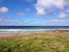 Bude grass, Bude Cornwall - 2013.