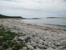 Bay, Scilly - 2016.