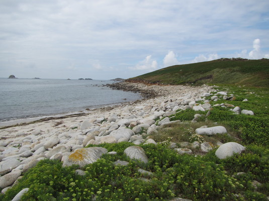 Bay, Scilly - 2016.